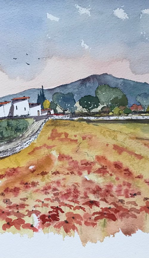 Village in Provence 3 by Brian Tucker