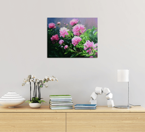 Pink peonies in the garden