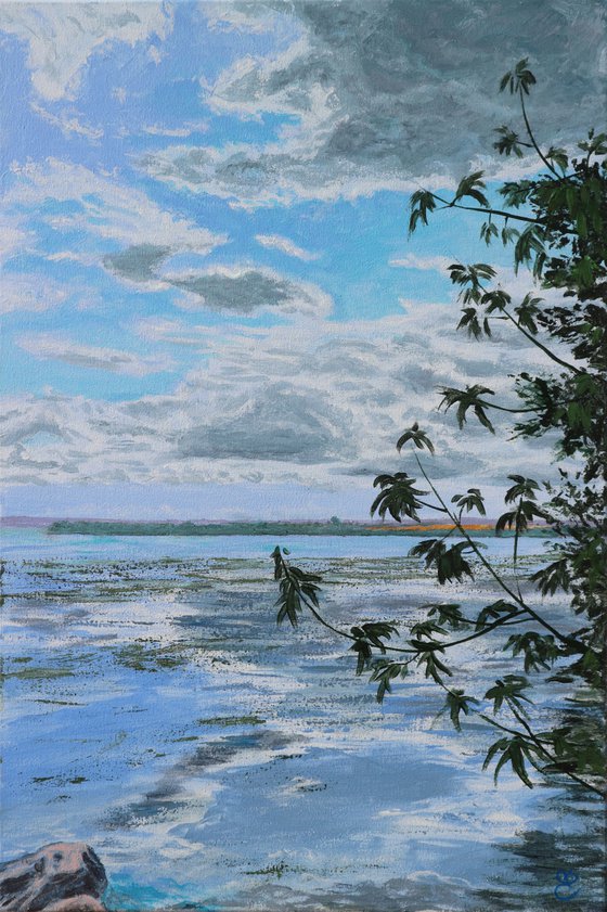 Dnieper spills, 40*60