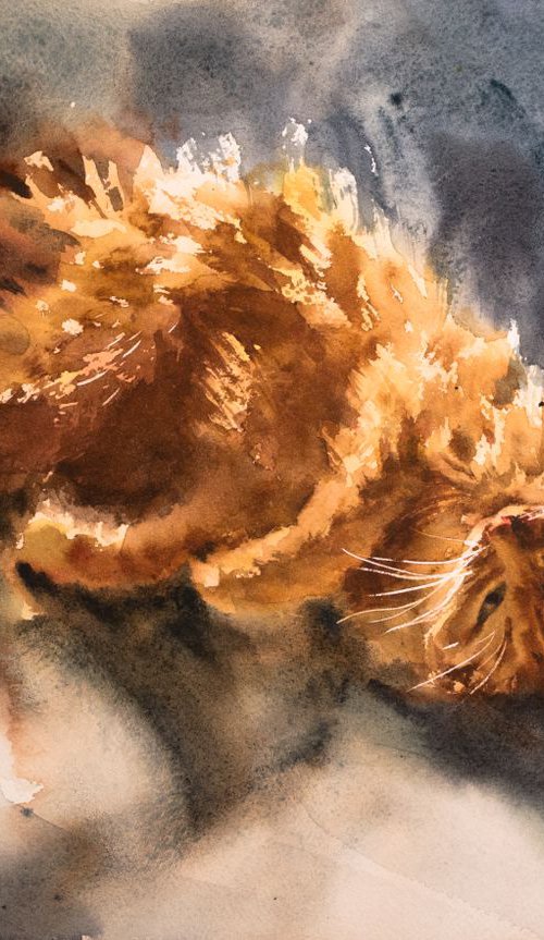 Woke up the ginger cat by Lida Duchnewitsch