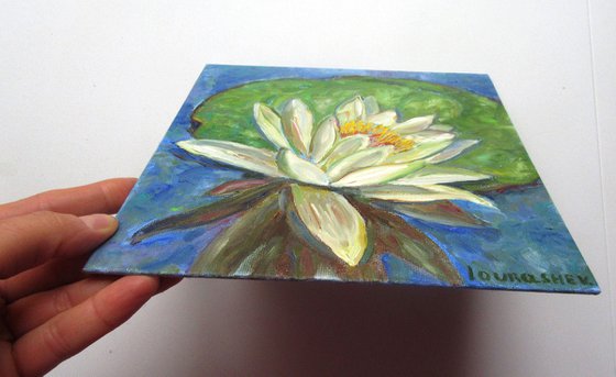 Waterlilies
