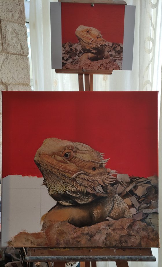 Iguana