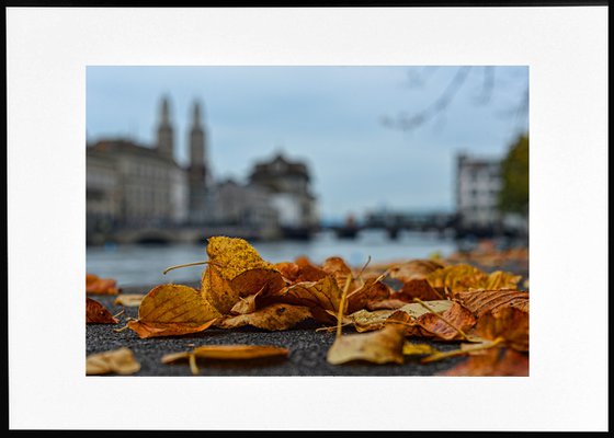 " Zürich, Switzerland. Magical Autumn "   Limited Edition 1 / 15