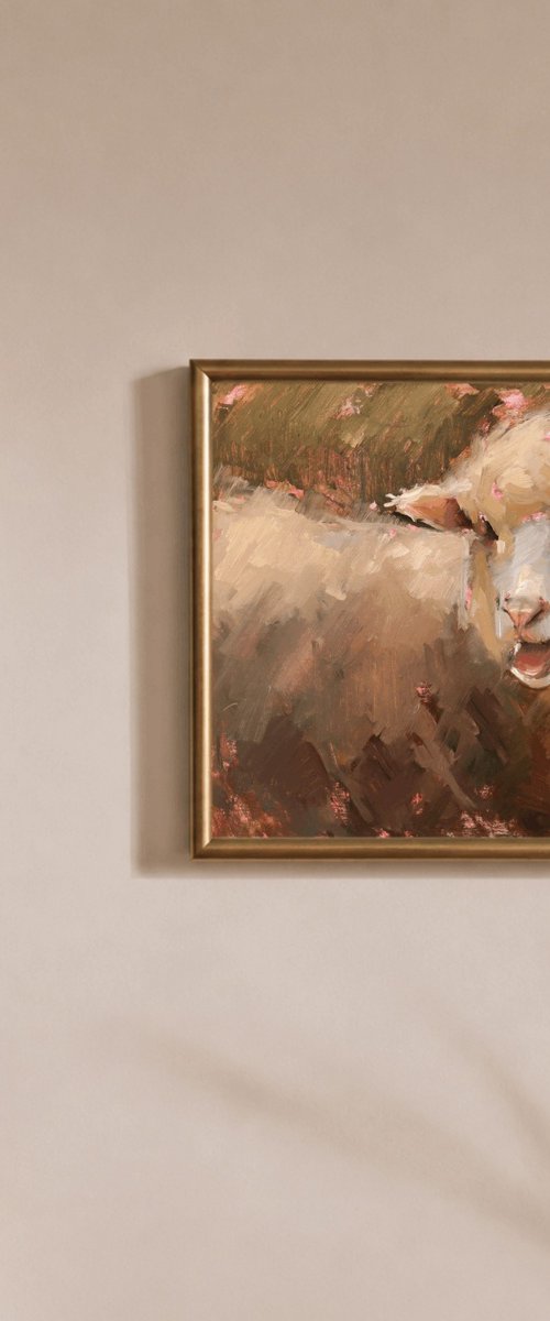 Poll Dorset Sheep Study by Jade Eynon