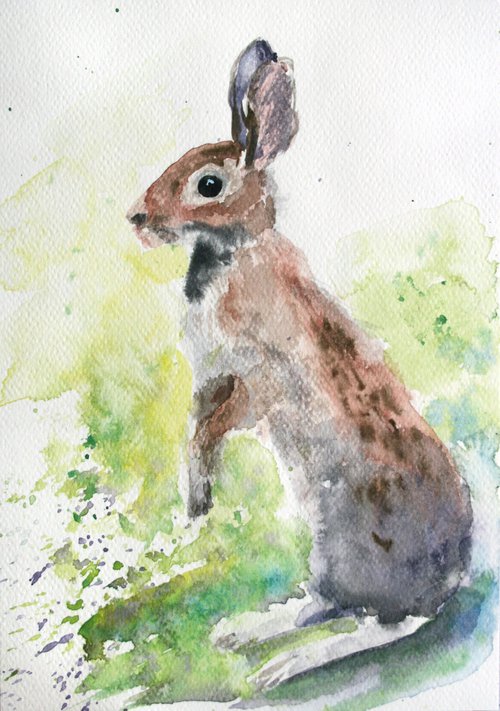 Rabbit I - Animal portrait /  ORIGINAL PAINTING by Salana Art Gallery