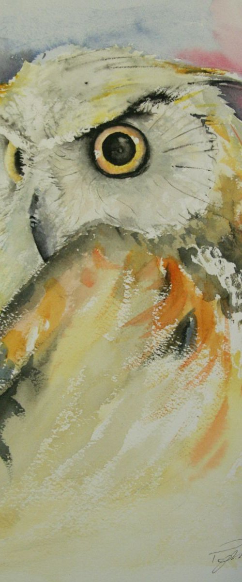 The Owl by Tomasz Mikutel
