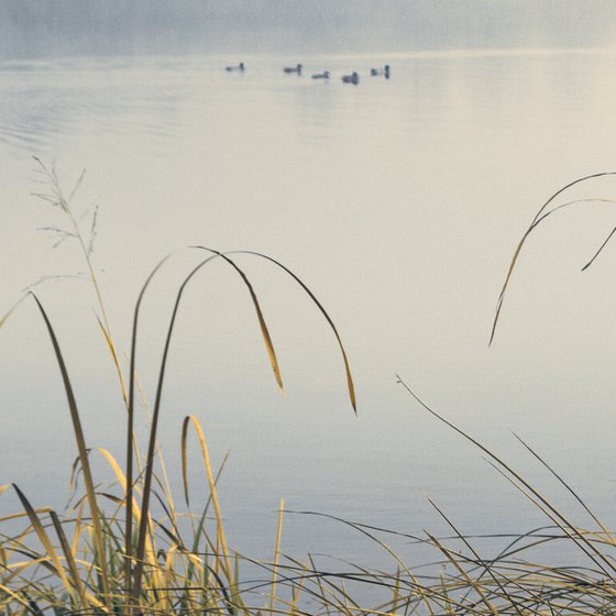 Silence over the water.