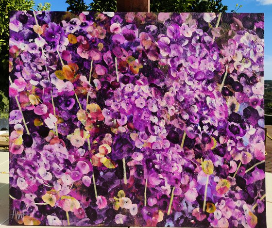 Violet Rhapsody