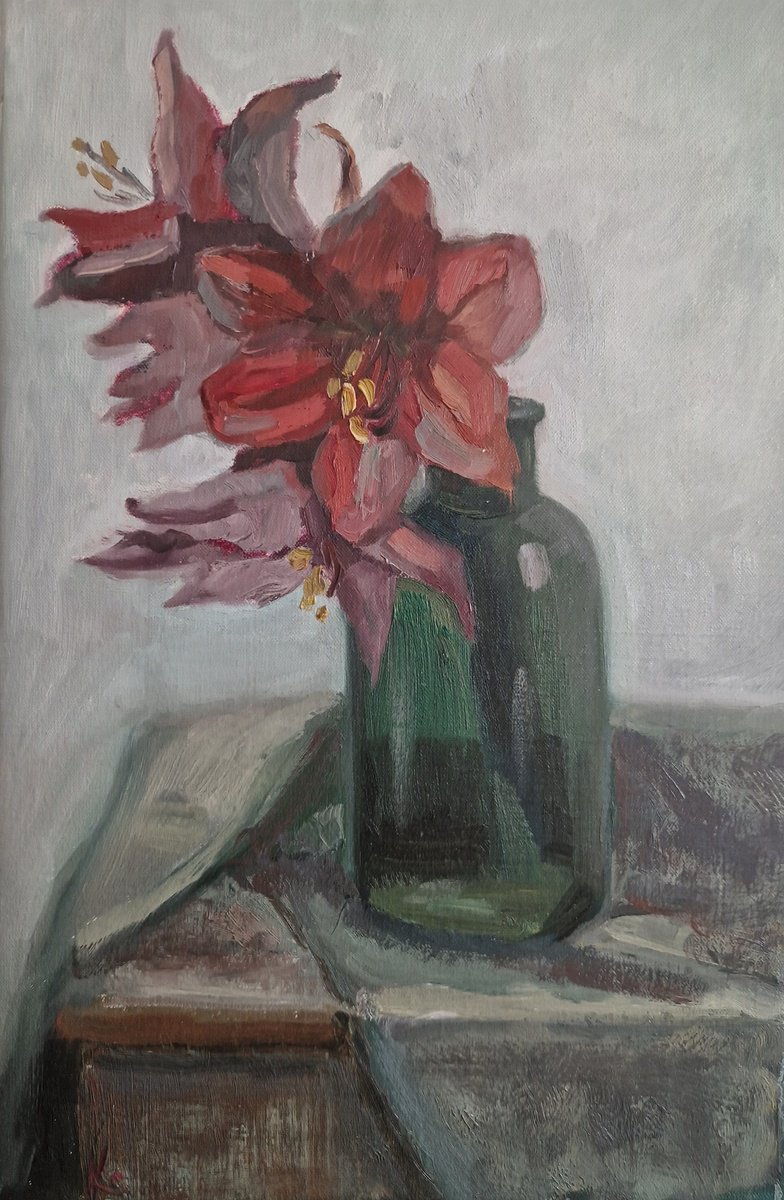 Still-life with flower Red Amaryllis by Olena Kolotova