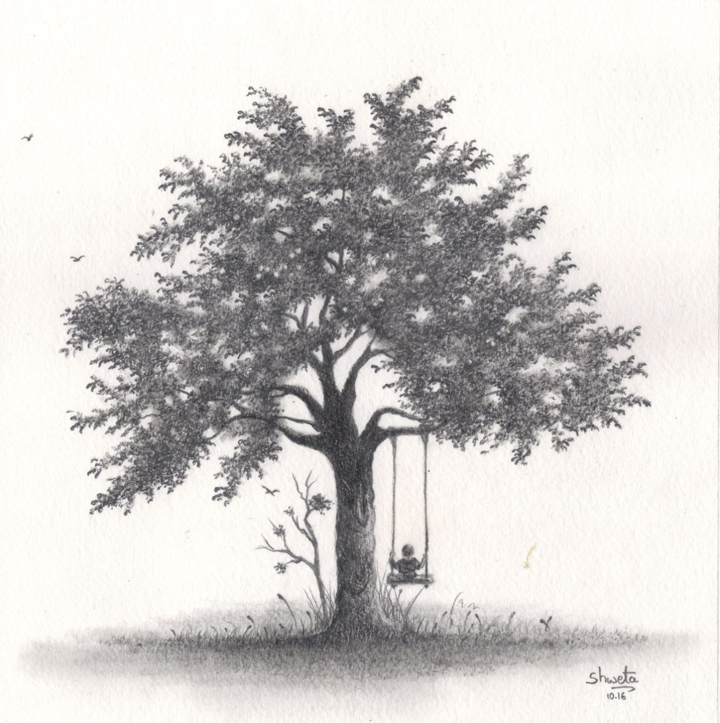 Apple Tree Pencil Drawing By Shweta Mahajan Artfinder
