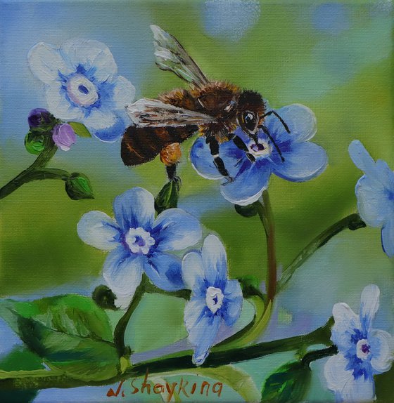 Honey Bee on Blue Flower