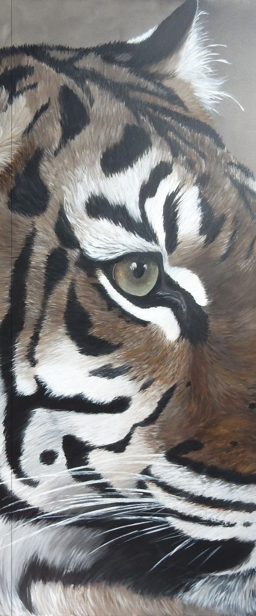 tiger by bente jepsen