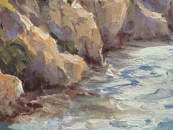 Coastal View From the Bluffs