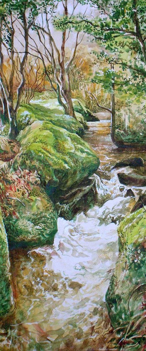 Dartmoor stream by Daniel Loveday