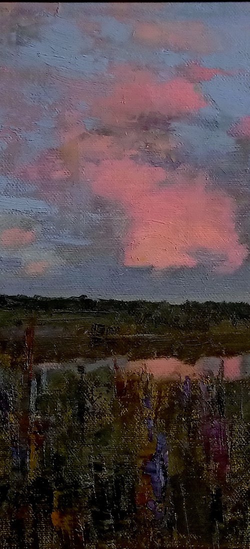 After the May rain by Denys Gorodnychyi