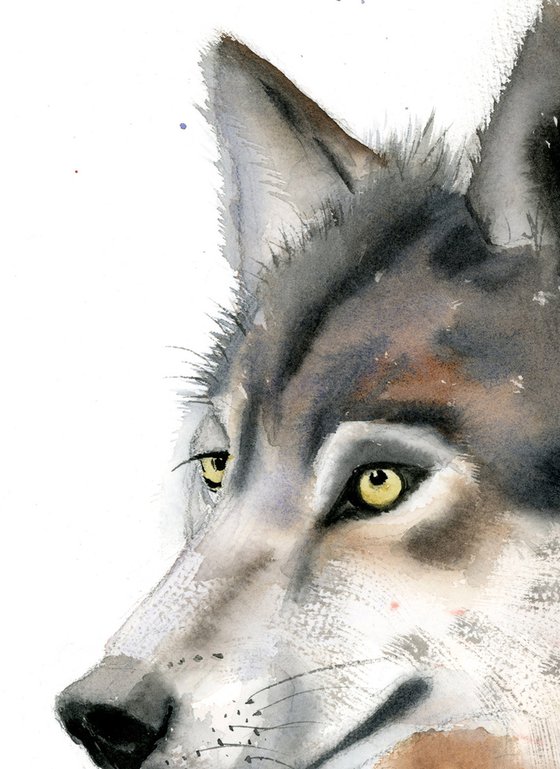 Watercolor Wolf portrait