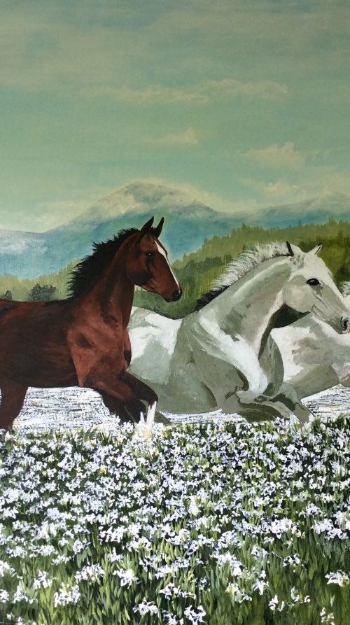 Wild Horses by Anne Shaughnessy