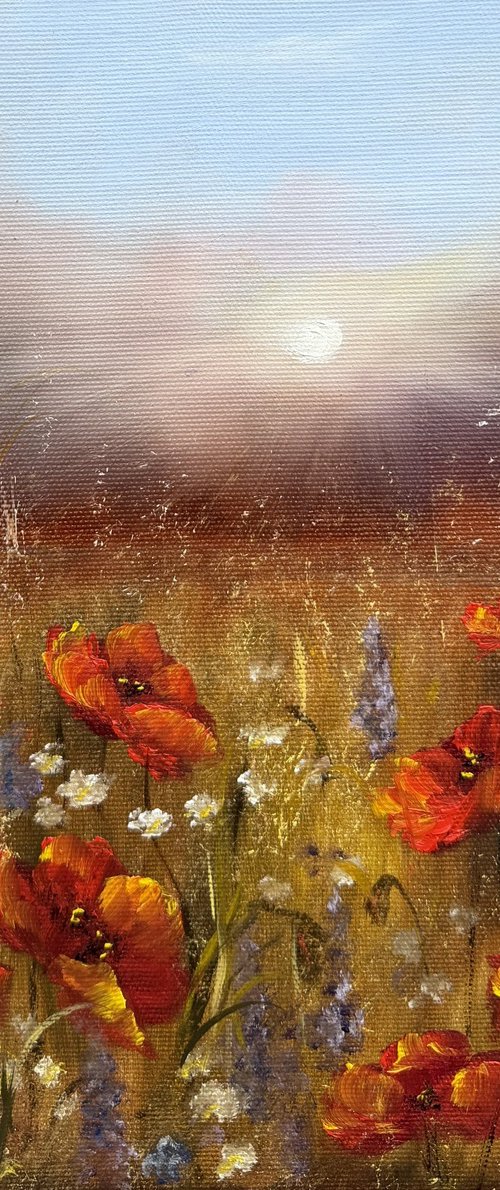 Sunset with red poppies by Tanja Frost