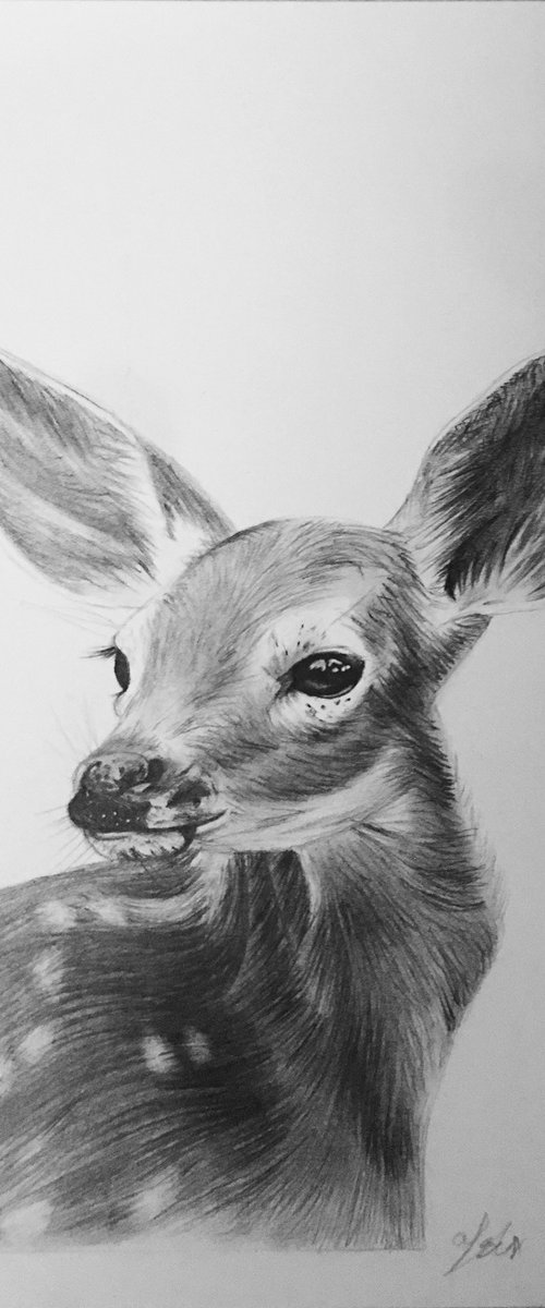 Fawn by Amelia Taylor