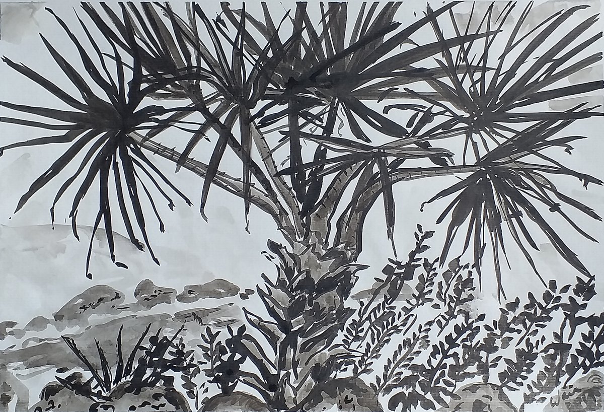 Yucca in Villa Mediterranea by Kirsty Wain
