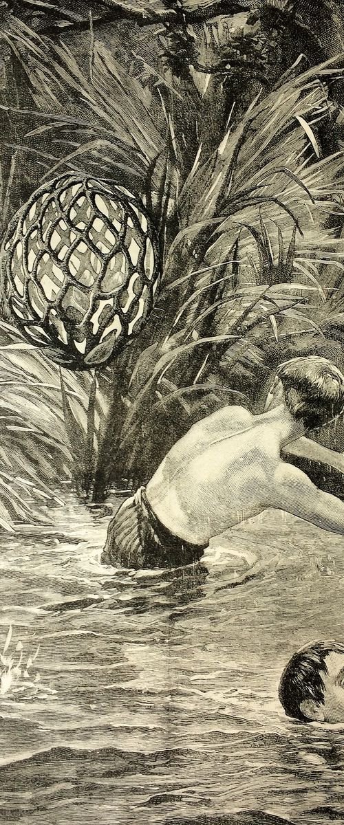 Swimming by Tudor Evans