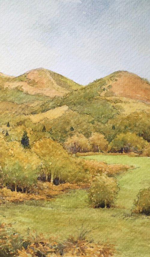 The Malvern Hills by Christopher Hughes