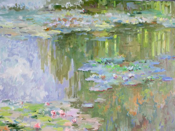 Water Lilies in the Lake