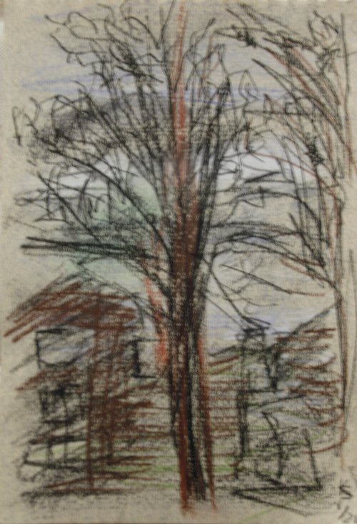 The Umber Tree Avond by Kathryn Sassall