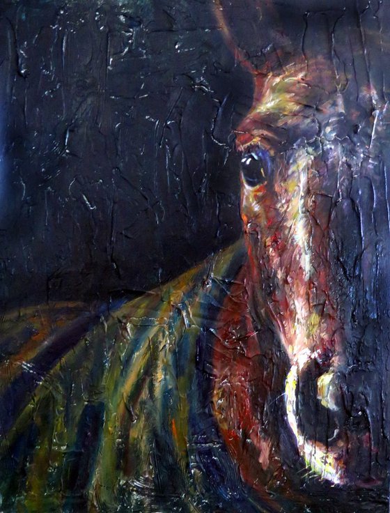 A Horse Portrait