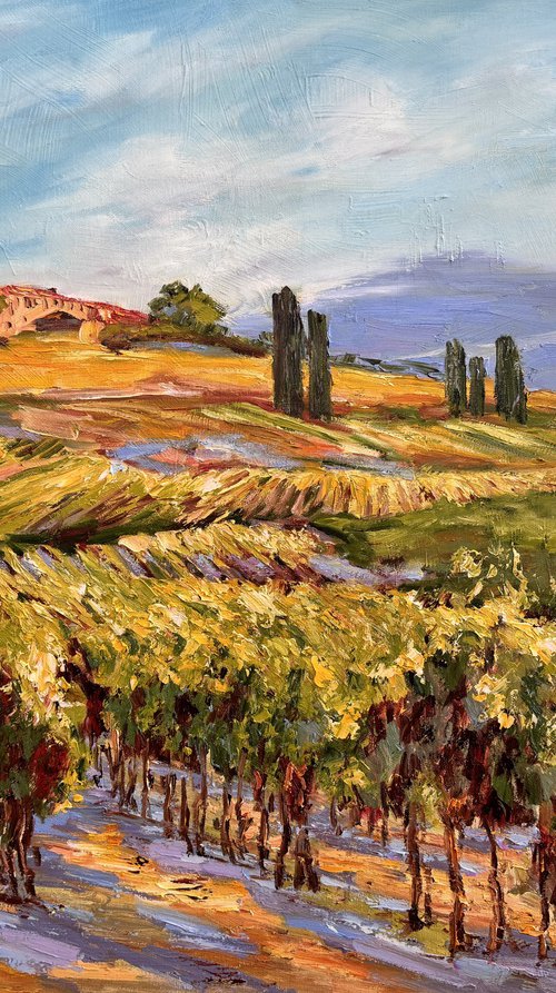 Vignes sous le soleil by Diana Malivani