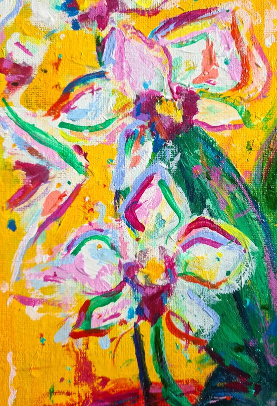 Orchids