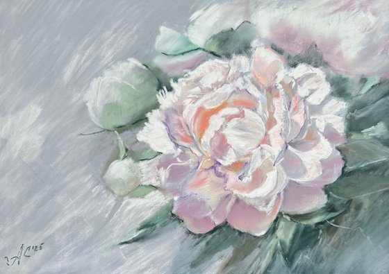 Floral: White Peony