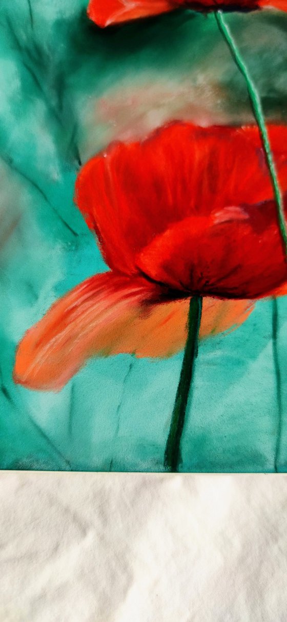 Poppies