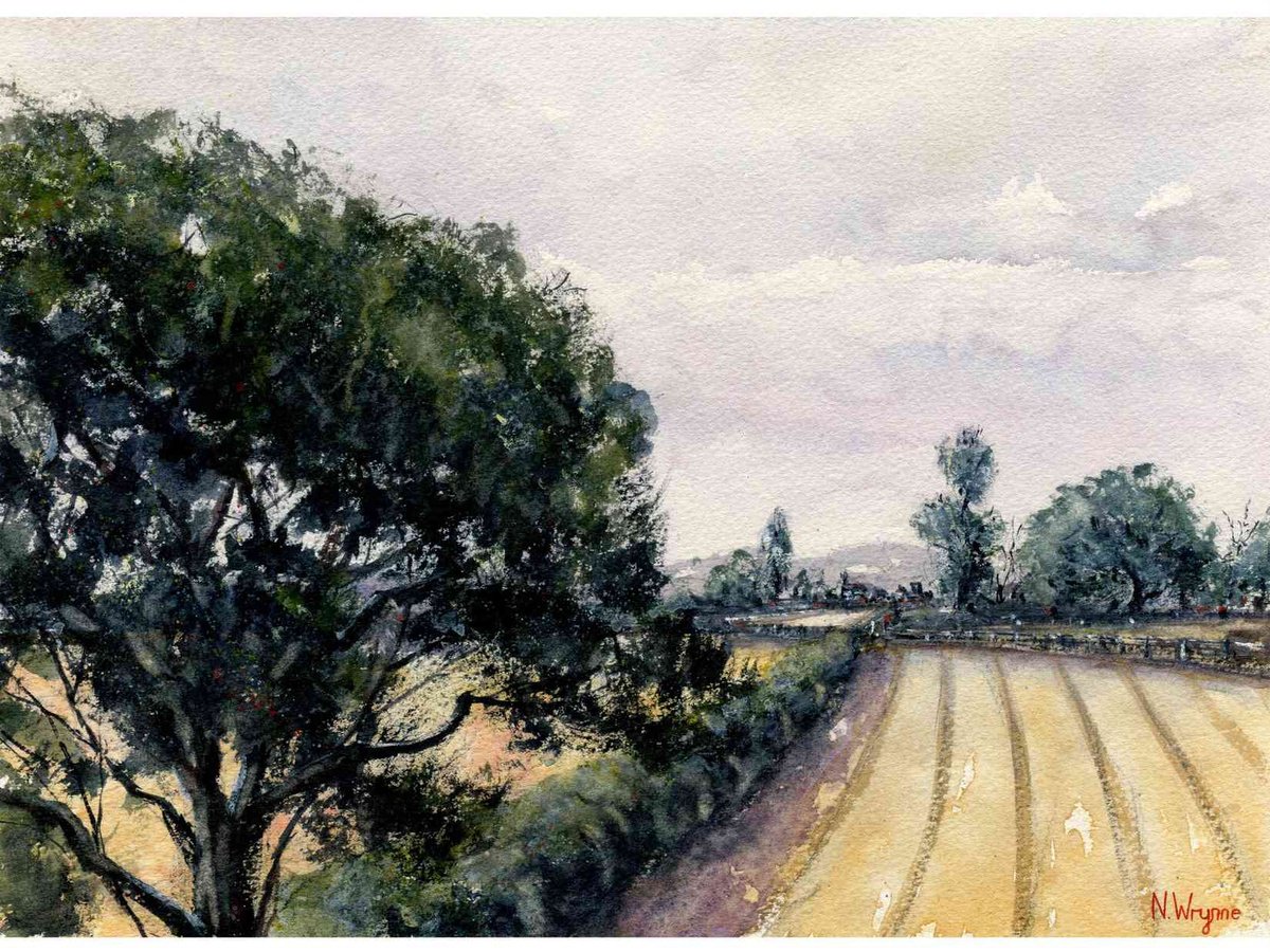Impressionistic Landscape Watercolour By Neil Wrynne, 15 X 11", Tree At The Edge Of The Field, Original Artwork