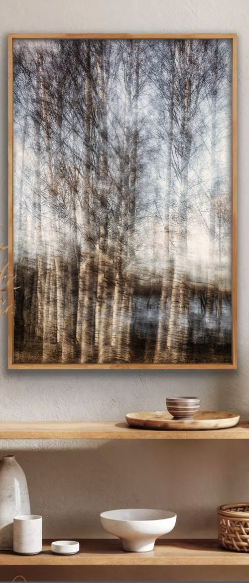 Birches on the lakeshore by Karim Carella