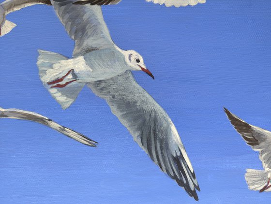 Heavens and seagulls