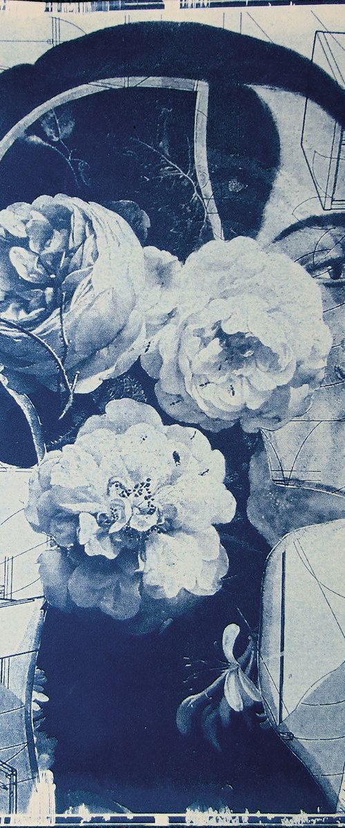 Cyanotype_00_roses by Manel Villalonga