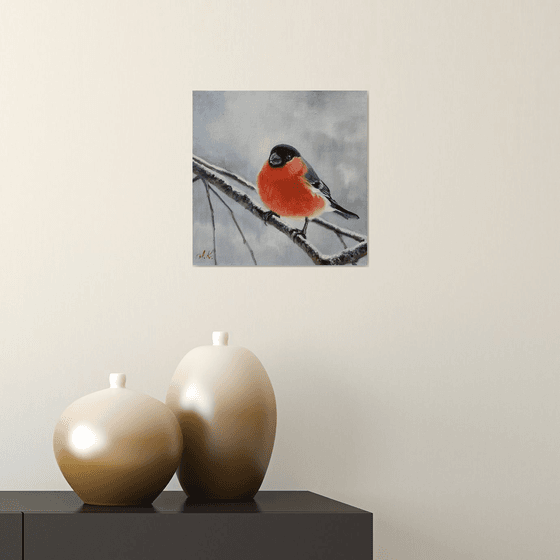 "Winter fire." Bullfinch birds 2021