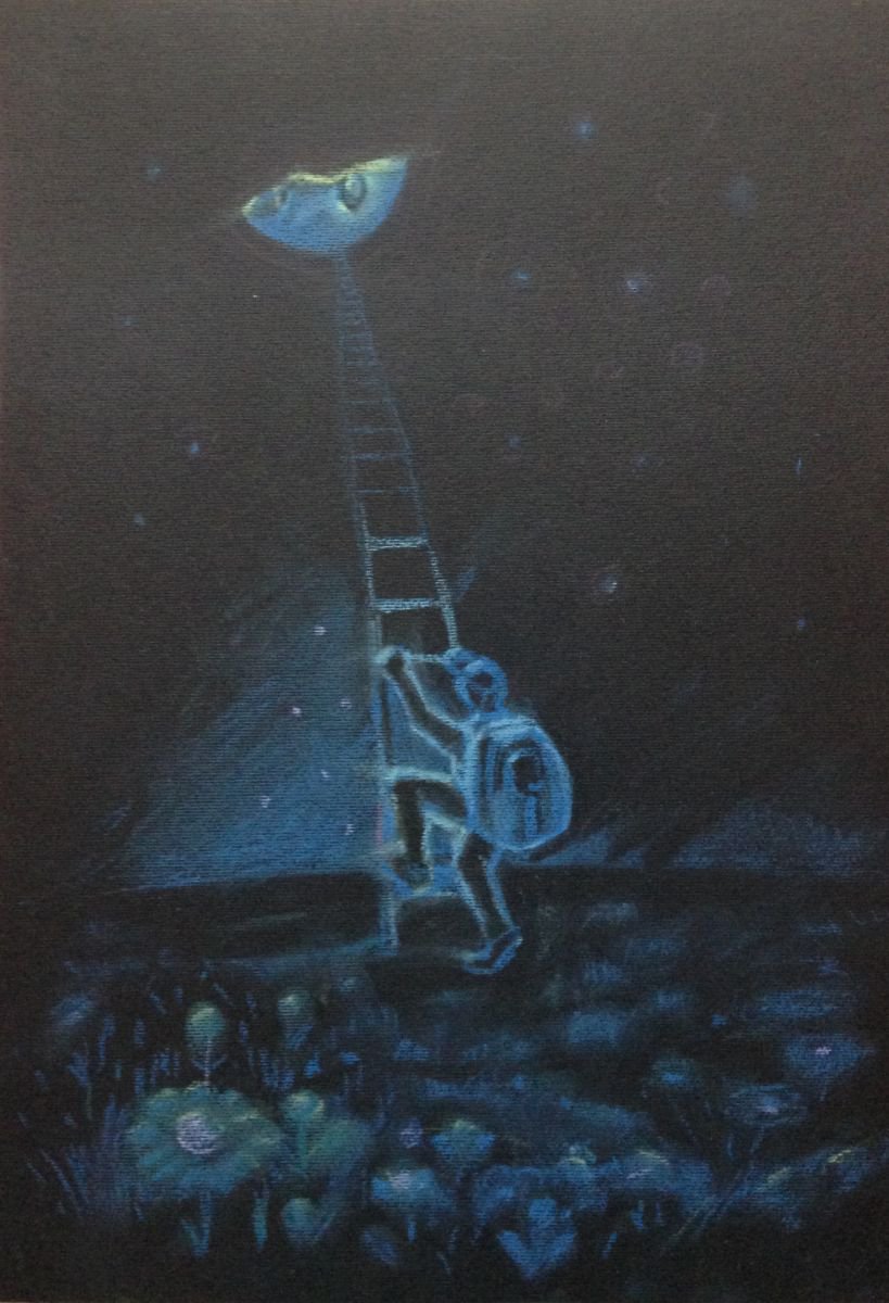 Ticket to the Moon by Roman Sergienko