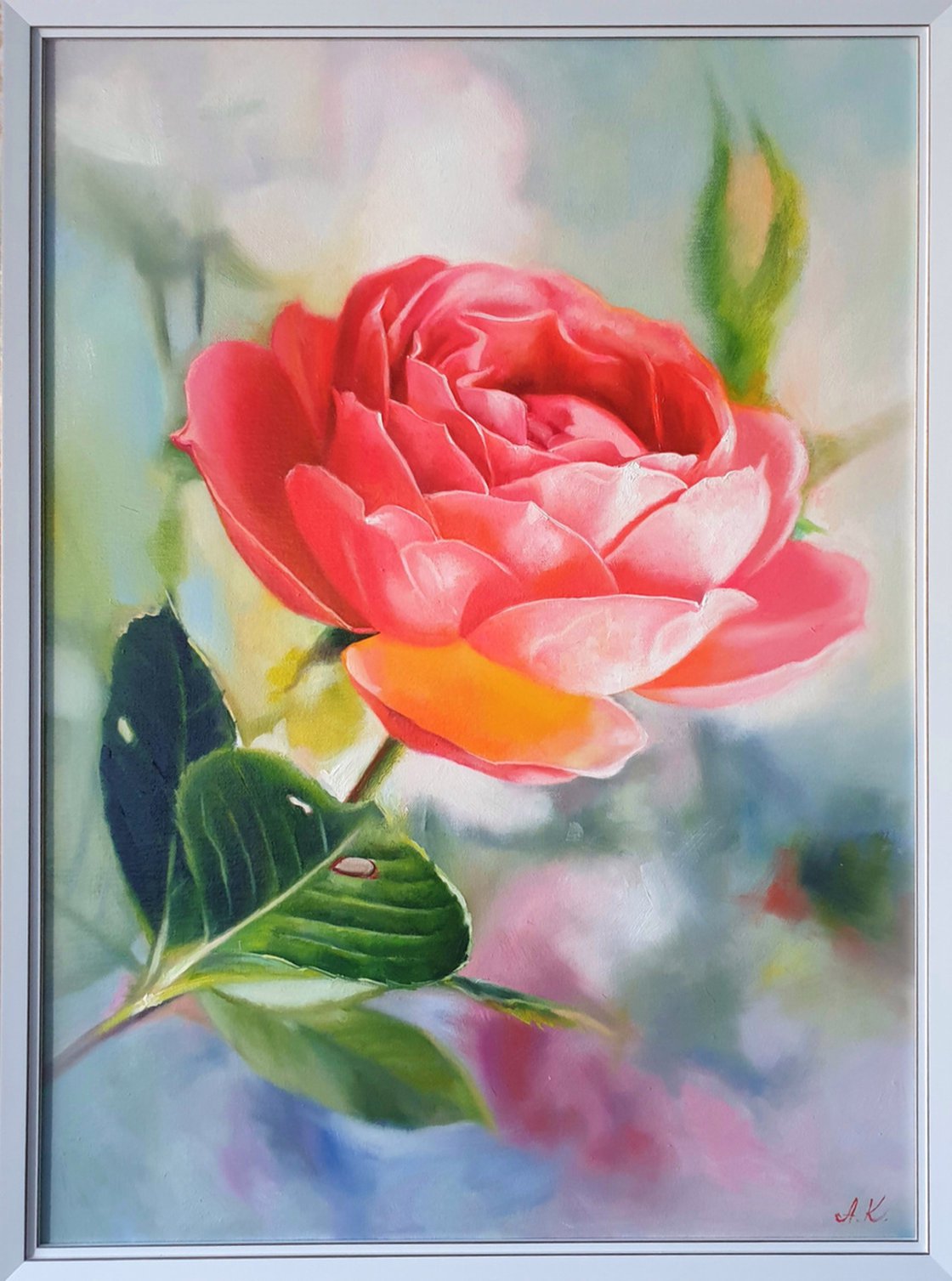 Macro pink rose flower petals, Posters, Art Prints, Wall Murals, Pink Rose  Petals