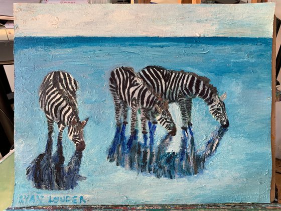 Zebras In Blue Water