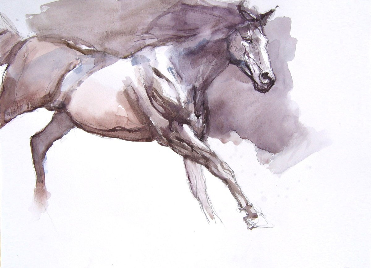 Expressive Animal Watercolour By Goran Zigolic Watercolors, 20 X 14, Black Stallion Iv, Original Artwork