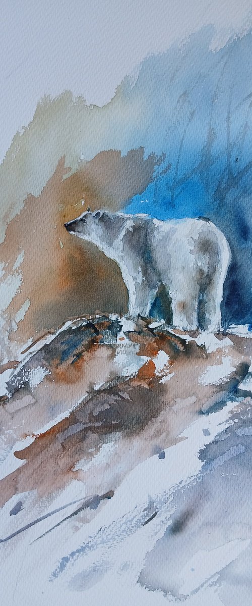 bear 3 by Giorgio Gosti