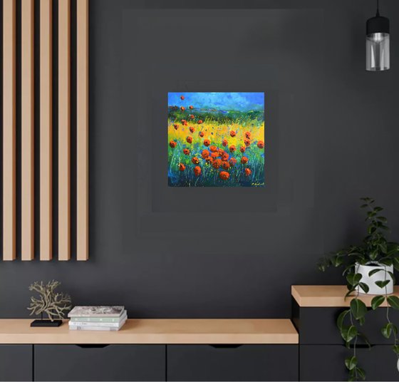 Poppies Summer dance 6625