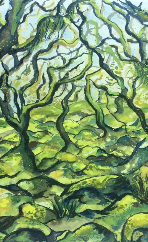 Wistman’s Wood # 2 by Lucy Smerdon