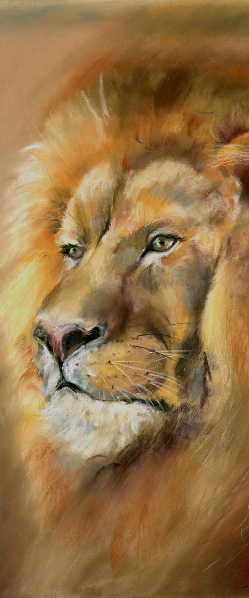 Lion Portrait - Original Pastel Drawing by Olga Tchefranov (Shefranov)