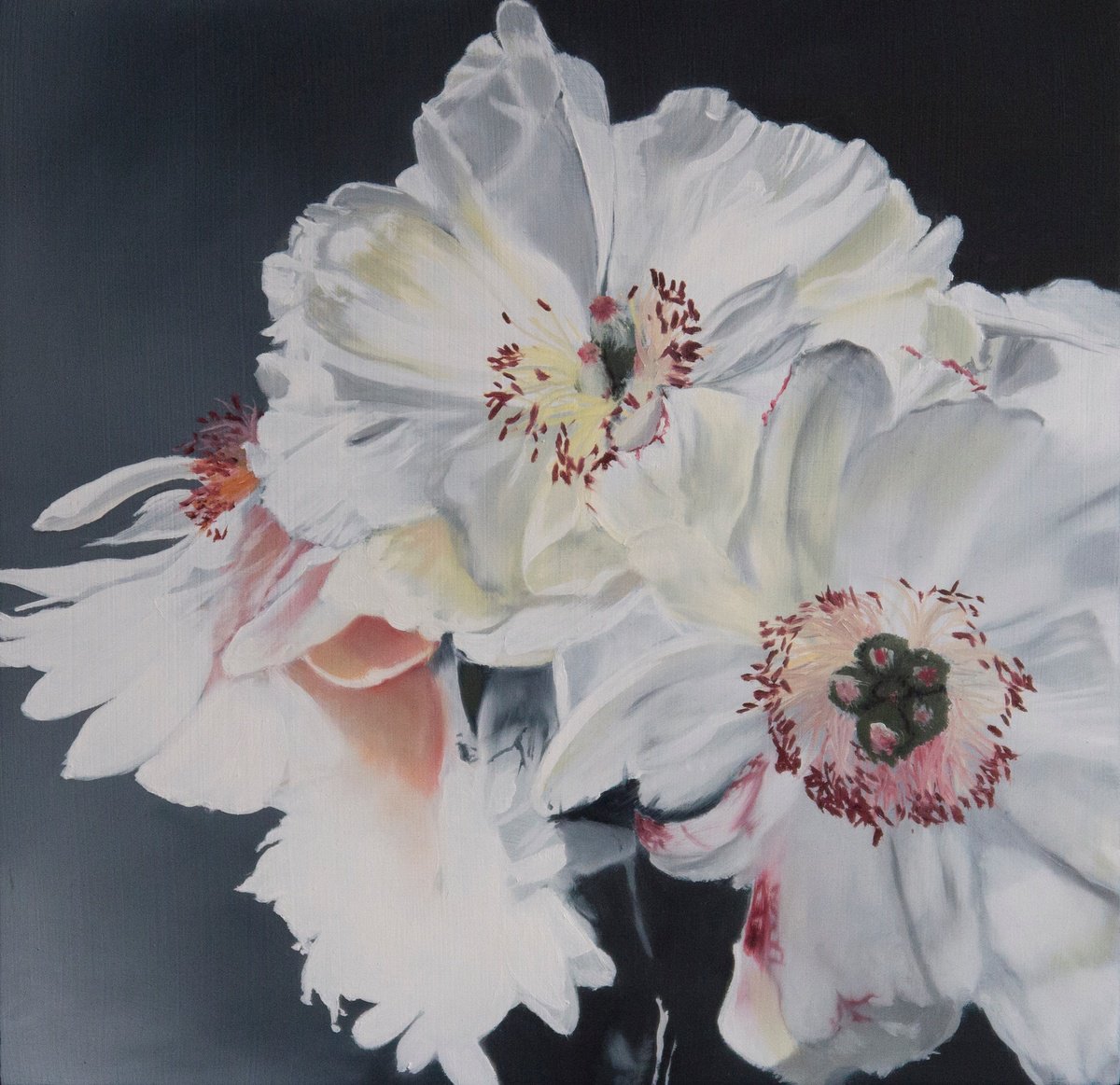 Photorealistic Botanical Oil Painting By Steven M. Curtis, 13 X 13", Glowing Peonies, Original Artwork