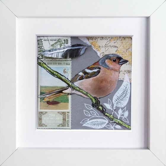 The chaffinch feather  (framed and ready to hang)