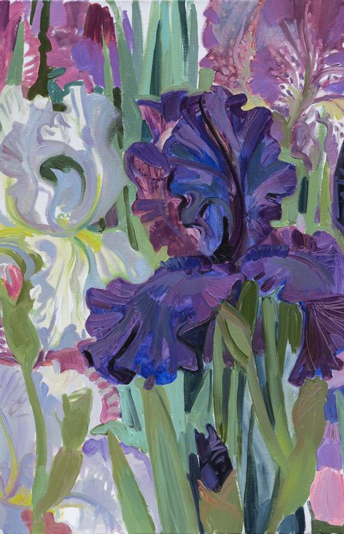 Irises. White. Blue. Lilac by Liudmyla Korzh-Radko