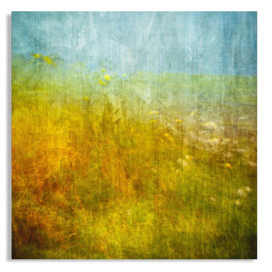 Wild Flowers at Stenness - Yellow Floral Abstract - Orkney